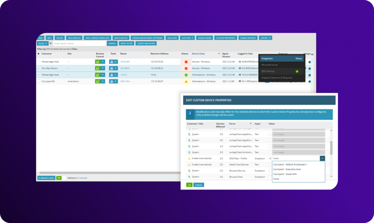 Managed DNS dashboard showing a device list with DNS filtering status, integrations, and a panel for editing custom device properties and DNS filter profiles.