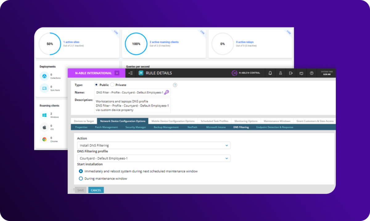DNS filtering rule configuration screen showing roaming client status and settings for deploying a DNS filter profile to employee devices.